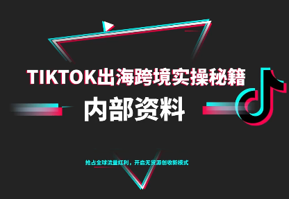 TikTok跨境电商0-1搭建运营(更新10月)-日入300副业网