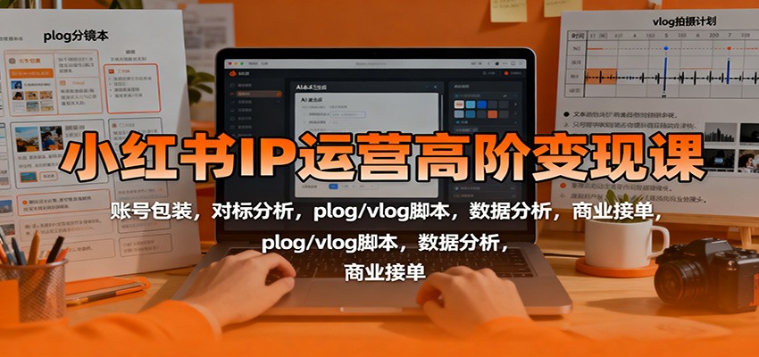 小红书IP运营高阶变现课：账号包装，对标分析，plog/vlog脚本，数据分析，商业接单-日入300副业网
