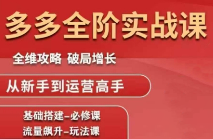 大炮·拼多多全阶实战课程(更新10月)-日入300副业网
