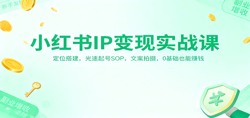 小红书IP变现实战课：定位搭建，光速起号SOP，文案拍摄，0基础也能赚钱-日入300副业网