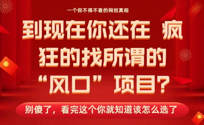 马上26年了，你还在找所谓的风口项目？别傻了，看完这个你全都懂了！【揭秘】-日入300副业网