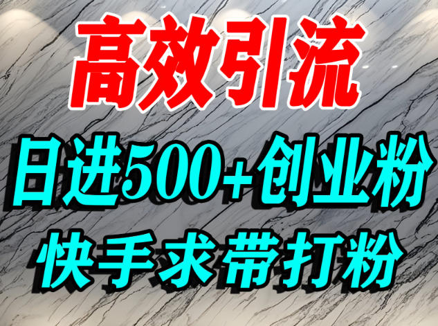 怎么打创业粉？快手求带视角精准引流创业粉，宝妈、学生群体日进500+精准流量-摇钱树