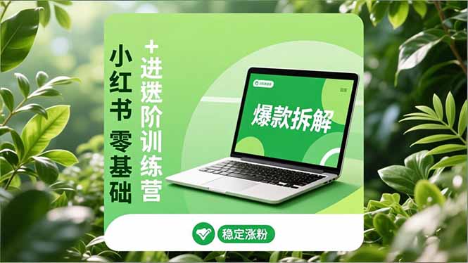 小红书零基础+高阶训练营：安全养号、爆款拆解、长效运营，实现稳定涨粉与变现-摇钱树