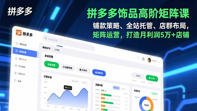 拼多多饰品高阶矩阵课，铺款策略、全站托管、店群布局，矩阵运营，打造月利润5万+店铺-摇钱树