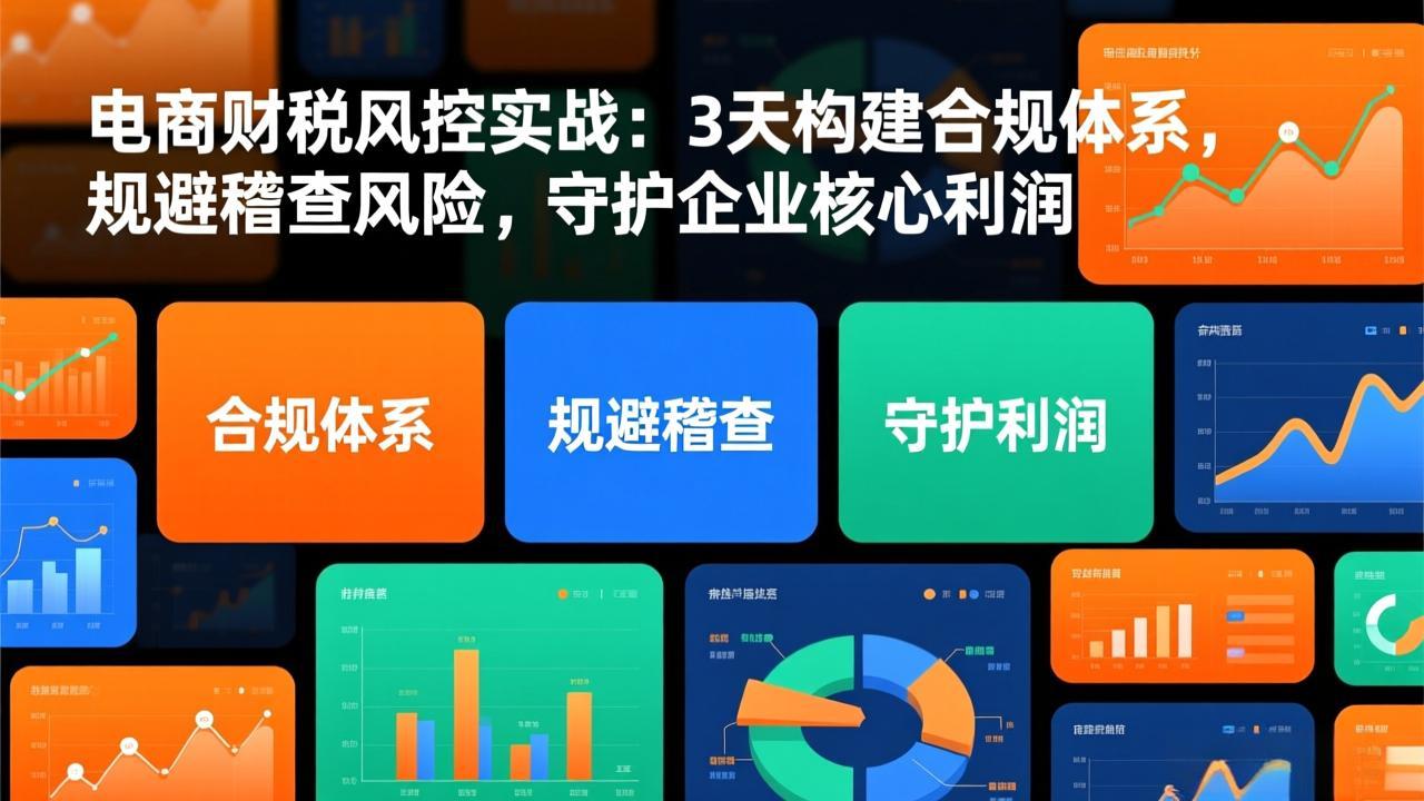 电商财税风控实战：3天构建合规体系，规避稽查风险，守护企业核心利润-摇钱树