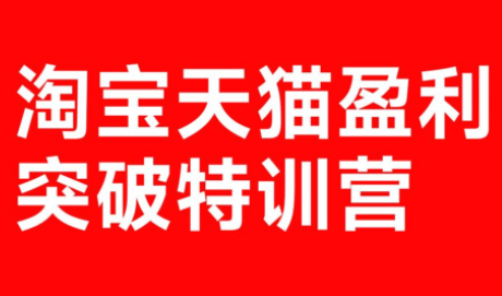 玺承·淘宝天猫盈利突破特训营(25年12月线下课)【音频+字幕】-摇钱树