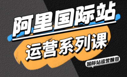 醒目老师·阿里国际站运营系列课(更新3月)-道生创业项目平台