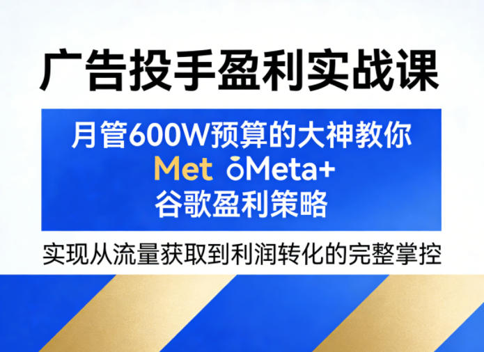 广告投手盈利实战课，月管600W预算的大神教你Meta+谷歌盈利策略，实现从流量获取到利润转化的完整掌控-摇钱树