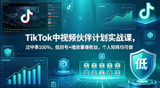 TikTok中视频伙伴计划实战课，过中率100%，低封号+播放量賺收益，个人矩阵均可做-摇钱树