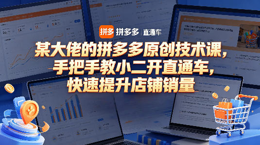 某大佬的拼多多原创技术课，手把手教小二开直通车，快速提升店铺销量-阿鹏创业资源网