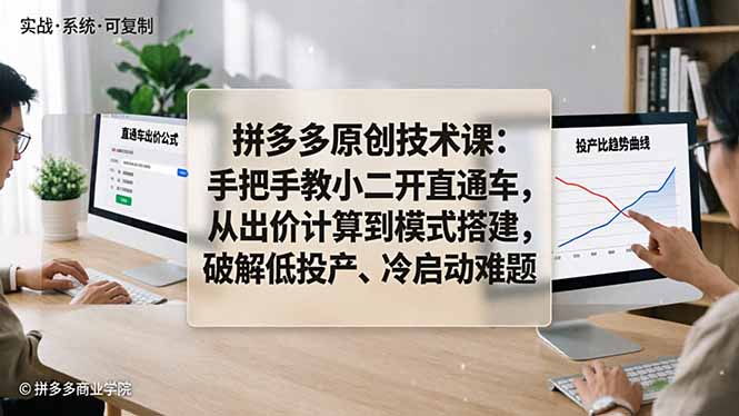 拼多多原创技术课：手把手教小二开直通车，从出价计算到模式搭建，破解低投产、冷启动难题-摇钱树