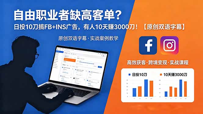 自由职业者缺高客单?日投 10 刀搞 FB+INS 广告,有人 10 天赚 3000 刀!【原创双语字幕】-摇钱树