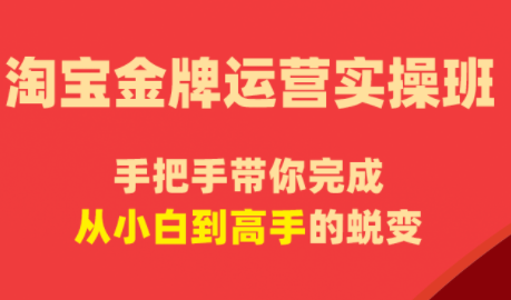 飓风电商·淘宝金牌运营实操班-摇钱树