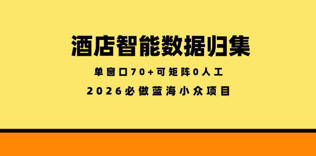 酒店智能数据归集，小众蓝海已经稳定半年之久，单窗口70+零成本矩阵开干【揭秘】-摇钱树