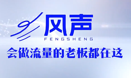 董十一·风声短视频AI获客年度会员-摇钱树