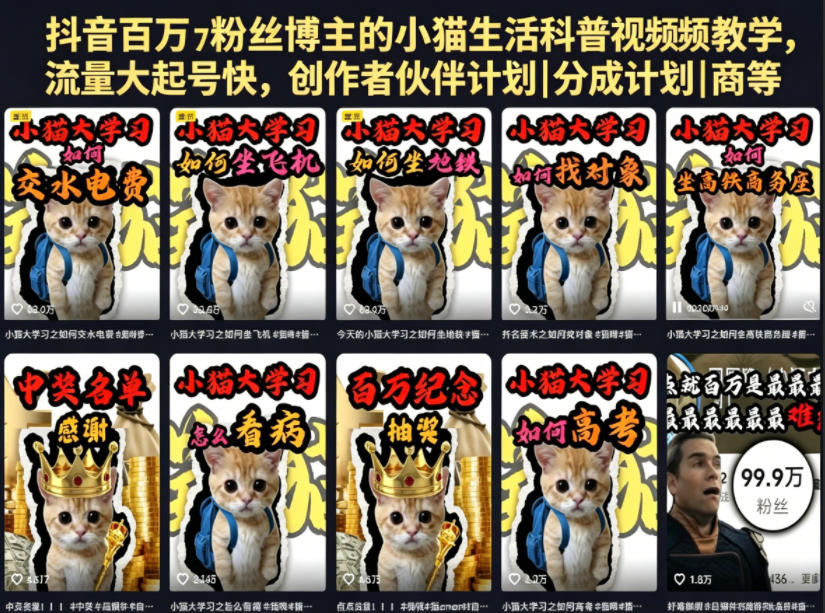 抖音百万粉丝博主的小猫生活科普视频教学,流量大起号快,创作者伙伴计划|分成计划|商单|收徒等-摇钱树