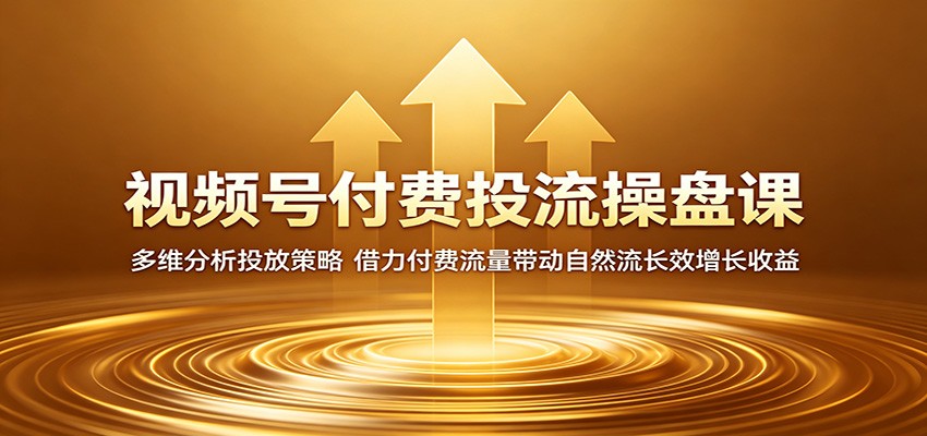 视频号付费投流操盘课:多维分析投放策略,借力付费流量带动自然流长效增长收益-摇钱树