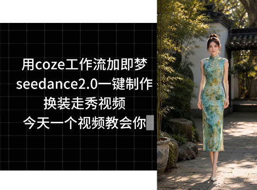 用coze工作流加即梦seedance2.0一键制作换装走秀视频，今天一个视频教会你-摇钱树