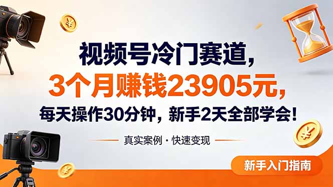 视频号冷门赛道,3个月变现23905元,新手2天学会 每天操作30分钟!-摇钱树