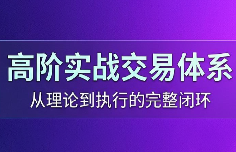 高老师·高阶实战交易体系(更新6月)-金字塔
