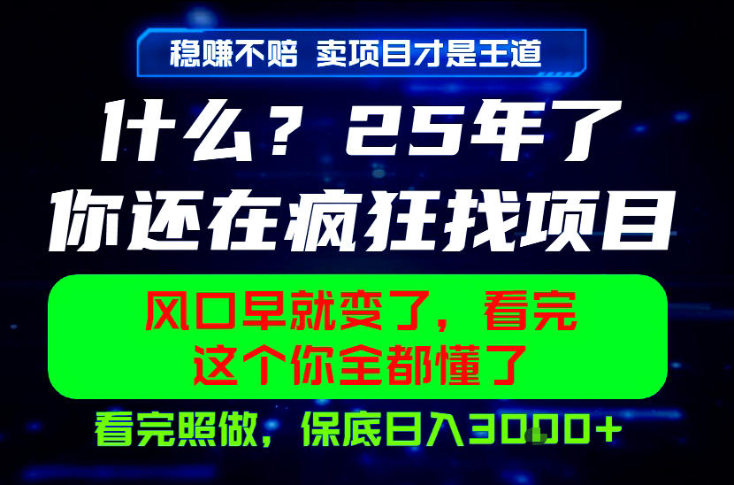 26年,请不要疯狂的找项目做了!卖项目才是真的稳賺不赔,看完照做,保底日入1k+【揭秘】-摇钱树
