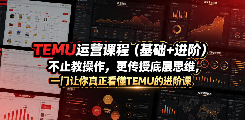 TEMU运营课程(基础+进阶)，不止教操作，更传授底层思维，一门让你真正看懂TEMU的进阶课-摇钱树
