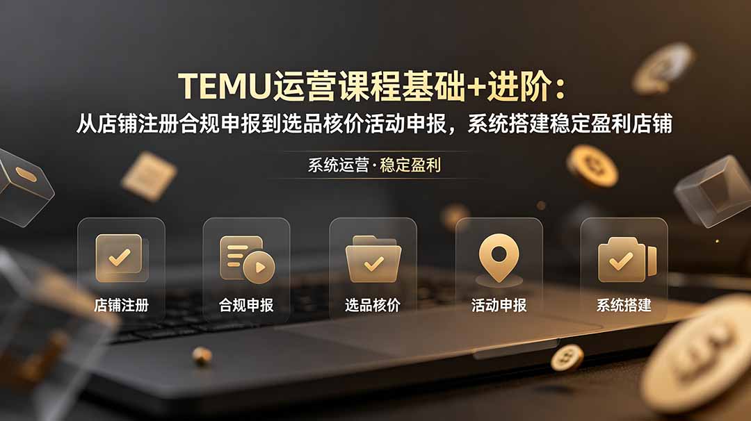 TEMU运营课程(基础+进阶-摇钱树