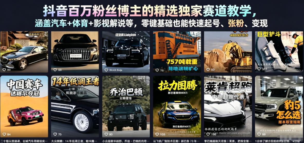 抖音百万粉丝博主的精选独家赛道教学,涵盖汽车+体育+影视解说等,零基础也能快速起号、涨粉、变现(更新0701)-摇钱树