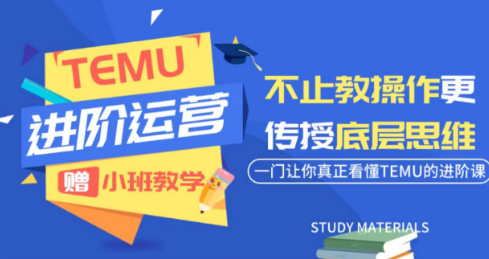 阿卡林·TEMU运营课程(基础+进阶)-摇钱树