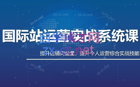 白老师·国际站运营实战系统(高质量询盘增长课)(更新)-摇钱树