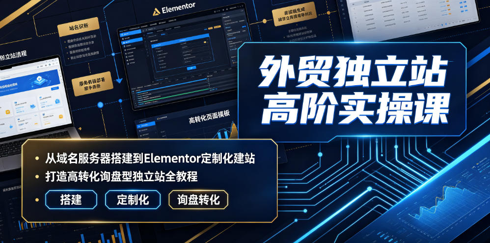 外贸独立站高阶实操课|从域名服务器搭建到Elementor定制化建站,打造高转化询盘型独立站全教程-摇钱树