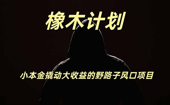 橡木计划,小投入撬动高回报的风口野路子项目,一天投入2小时左右-摇钱树