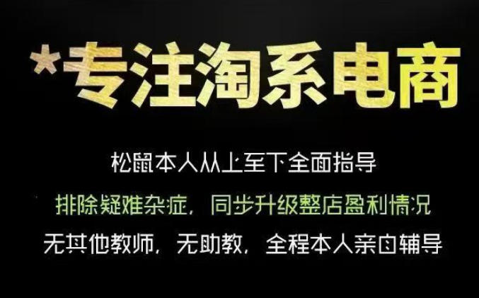 松鼠会电商VIP课程,从基础布局到高阶优化,助你掌握淘宝运营逻辑,提升店铺流量与转化(更新0809)-摇钱树