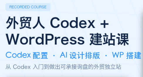 大卫·外贸人Codex + WordPress建站课(更新8月)-摇钱树