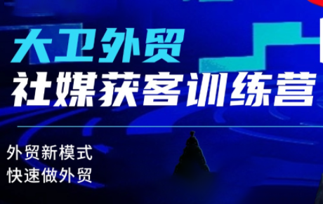 大卫老师·外贸社媒获客独家训练营(更新8月)-摇钱树