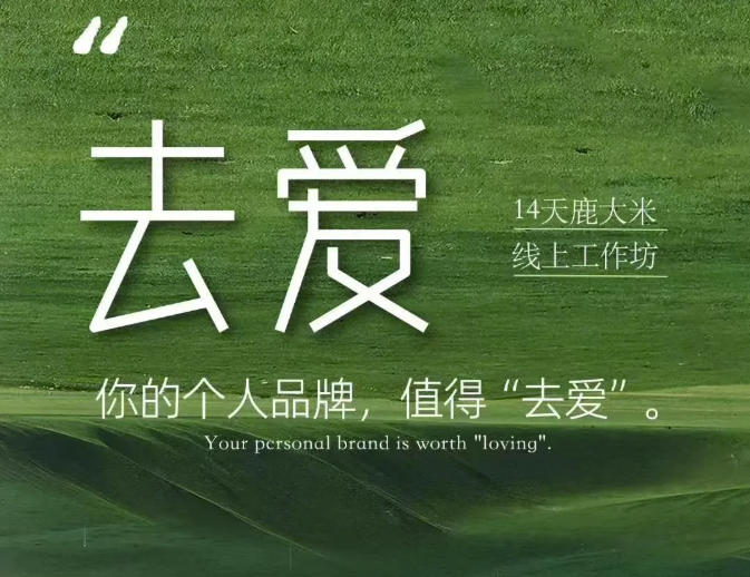 去爱14天鹿大米线上工作坊，你的个人品牌，值得“去爱”-摇钱树