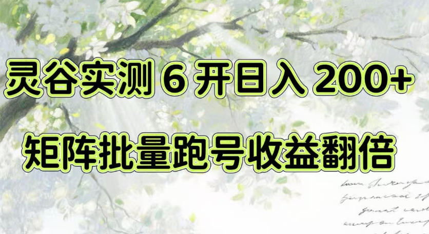 一台电脑就能做!灵谷实测6开日入200+,矩阵批量跑号收益翻倍【揭秘】-日入300副业网