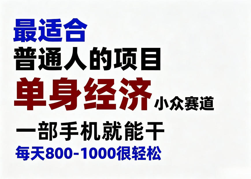 身经济小众赛道，一部手机就能干，每天搞个800-1000很轻松，最适合普通人的项目【揭秘】-启盈社