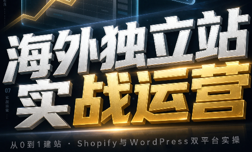 海外独立站实战运营-摇钱树