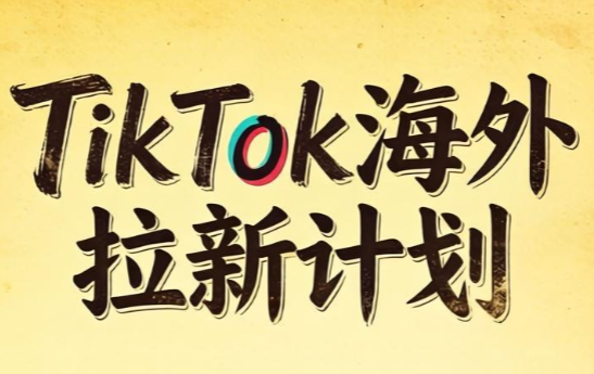 Tc联盟·TikTok海外拉新项目(更新9月)-摇钱树