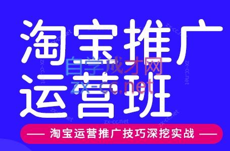 美迪电商·淘宝高级运营班+推广运营班(更新9月)-摇钱树