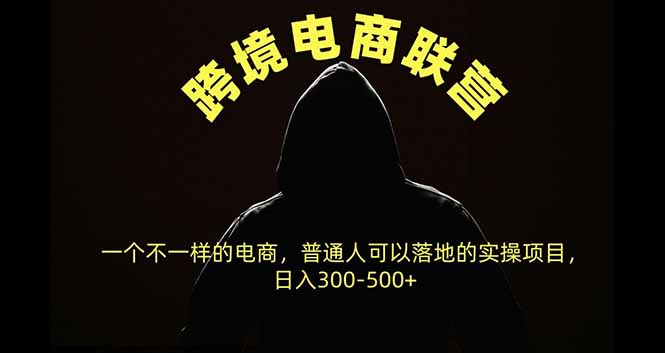 跨境电商联营,一个不一样的电商,普通人可操作日入300-500+-摇钱树