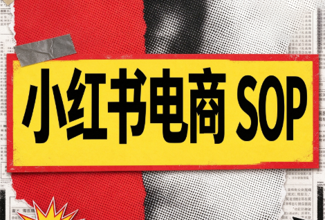 书豪必胜小红书电商sop(更新9月)-摇钱树