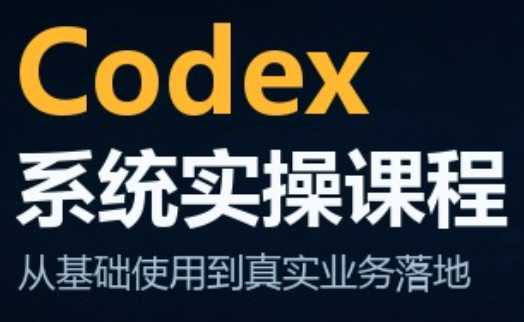 codex系统实操课程(更新10月)-摇钱树