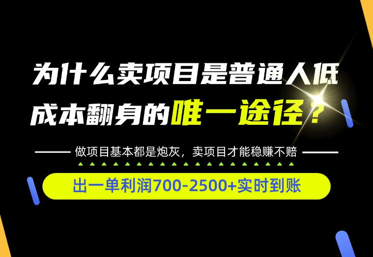 普通人如何靠互联网賺取自己的第一桶金!全类目实操型教学,看完你全都懂了!【揭秘】-摇钱树