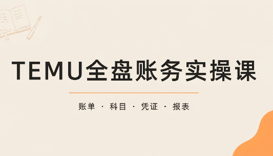 TEMU全盘账务实操课:账单导出、科目设置、利润核算-摇钱树