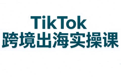 彭老师·TikTok跨境出海实操课-摇钱树